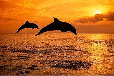 《博德之门3》Xbox版开发中 但遇到了技术问题